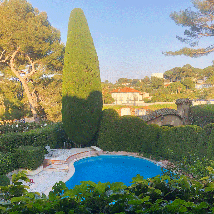 Entretien piscine et jardin dans les Alpes-Maritimes
