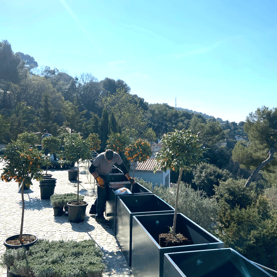 Entretien de jardin à Cannes, Antibes, Mandelieu, Valbonne, Grasse, Pegomas