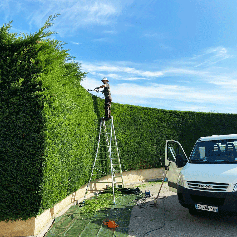 Entretien de jardin à Cannes, Mandelieu, Grasse, Valbonne, Pegomas, Antibes