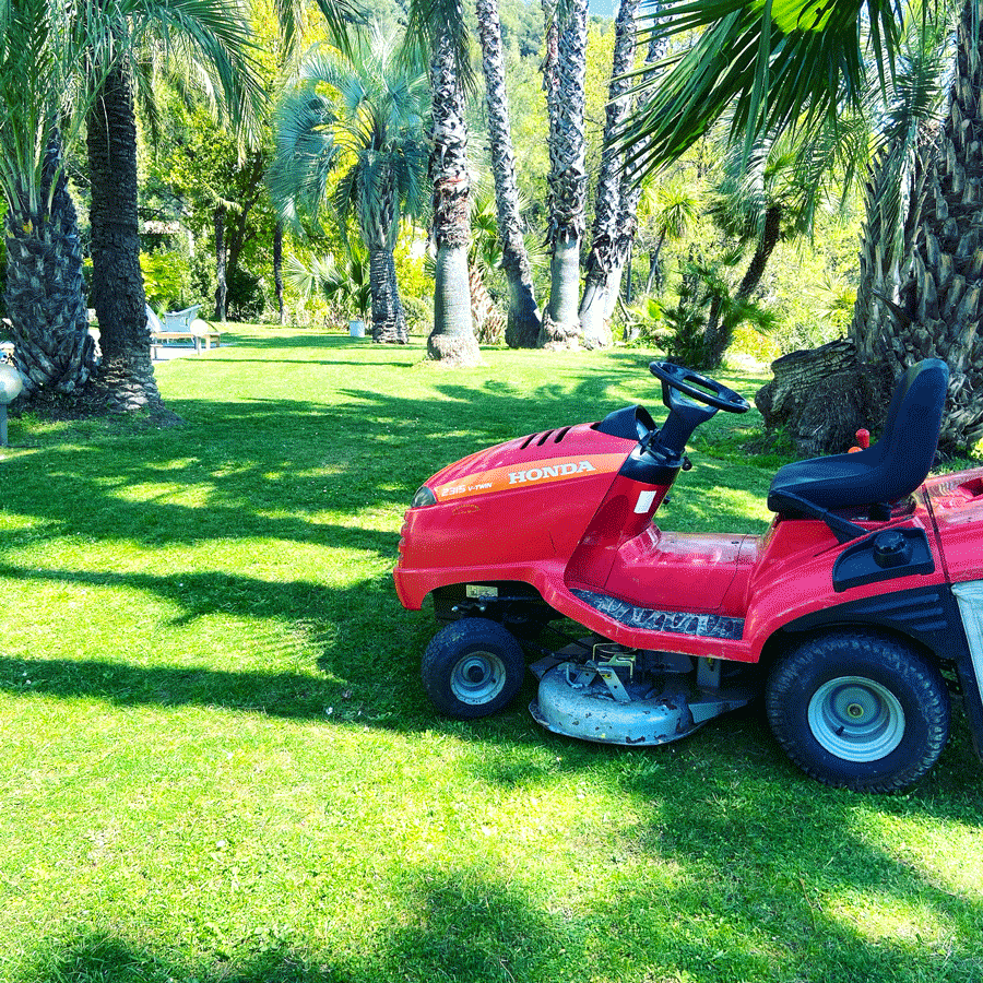 Entretien quotidien jardin dans les Alpes-Maritimes - Matthieu Ecolivet