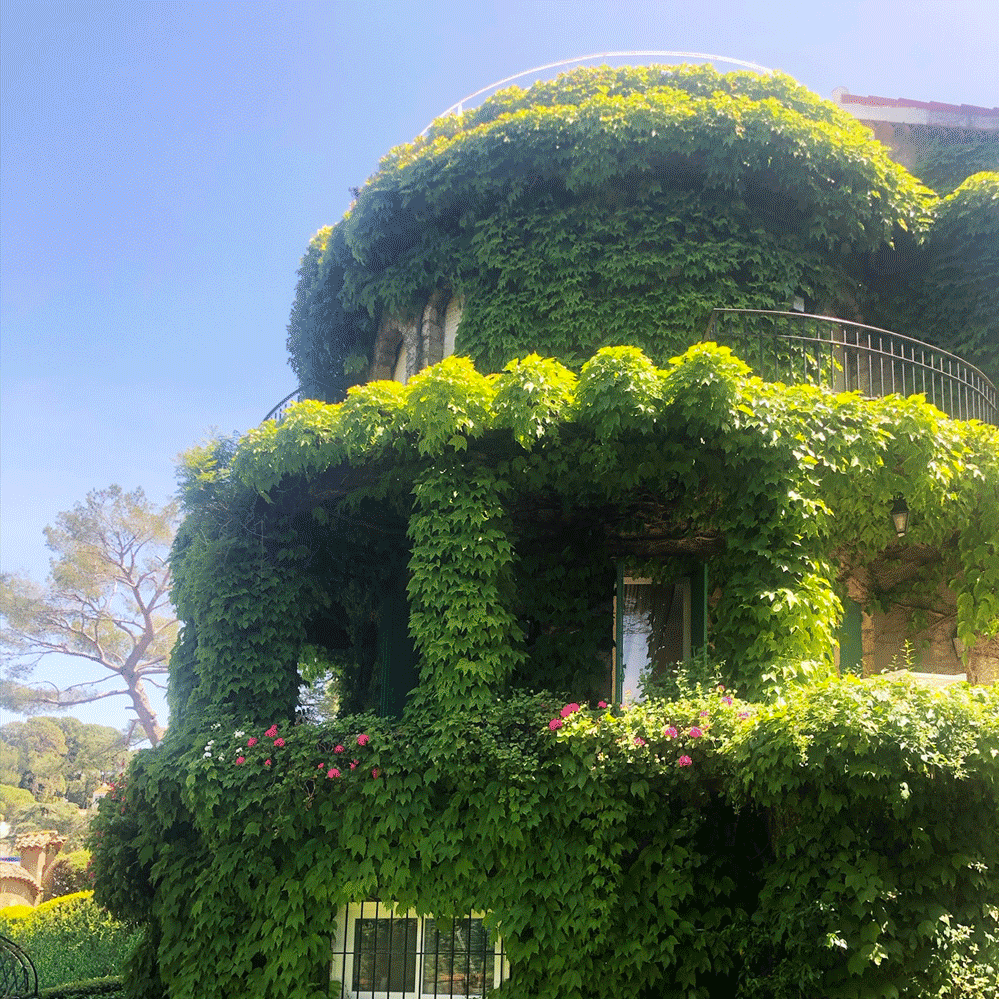 Création et architecture paysagère dans les Alpes-Maritimes