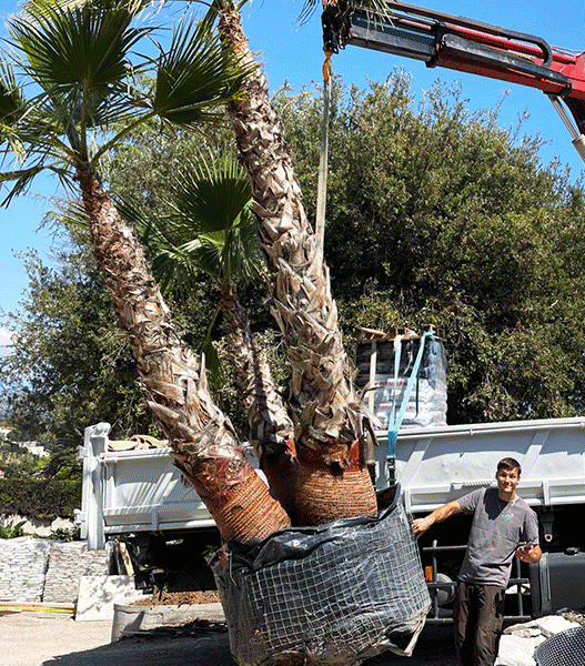 Création de jardin dans les Alpes-maritimes - Matthieu Ecolivet Paysagiste et Terrassement